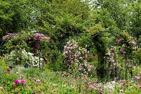 Rose_garden_JeanMarie_Pelt_botanical_garden_Nancy_Lorraine_France