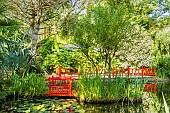 Japanese Garden, Parc Floral de la Court dAron, Saint Cyr-en-Talmondais, Vendée, France