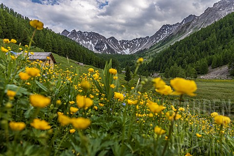 Landscape_at_Lac_de_lOrceyrette_1927m_from_left_to_right_Pic_de_Roche_Noire_2707_m_Pic_de_Maravoise_