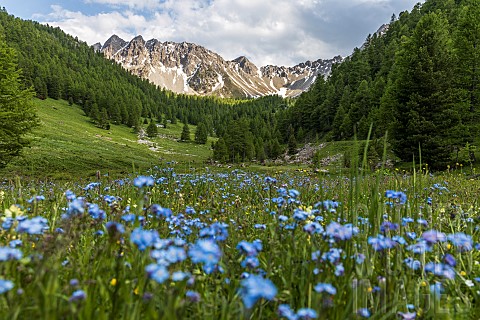 Landscape_at_Lac_de_lOrceyrette_1927m_from_left_to_right_Pic_de_Roche_Noire_2707_m_Pic_de_Maravoise_