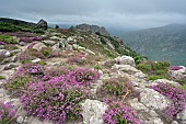 View of Roc du Caroux and Roc de la Siejo under the clouds, Massif du Caroux et de lEspinou, Hérault, France