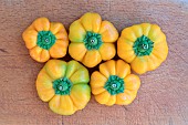 Harvesting Pumpkin peppers - Paradicsom Alaku