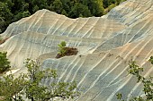 Strata of clay-marly sediments, Corboeuf ravine, Rosières, Haute-Loire, France