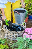 Step-by-step planting of a planter in a wicker basket. Adding potting soil.