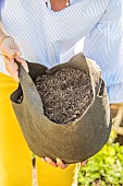 Planting chard in a Grow Bag. Handling a planting bag.