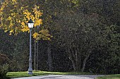 Autumn rain in a park. Domaine du Charmois in Vandoeuvre-les-Nancy, Lorraine, France