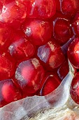 Close-up of Pomegranate fruit (Punica granatum) split open
