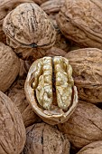 Grenoble Walnuts Franquette