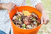 Woman holding a container for cleaning the orchard: damaged, worm-eaten fruit, diseased leaves...