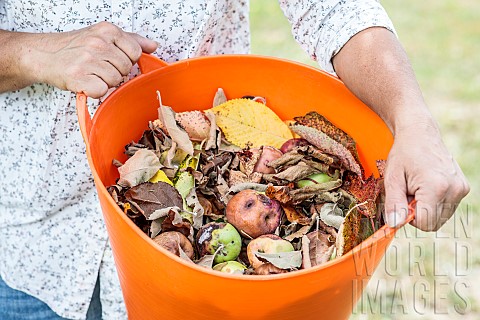 Woman_holding_a_container_for_cleaning_the_orchard_damaged_wormeaten_fruit_diseased_leaves