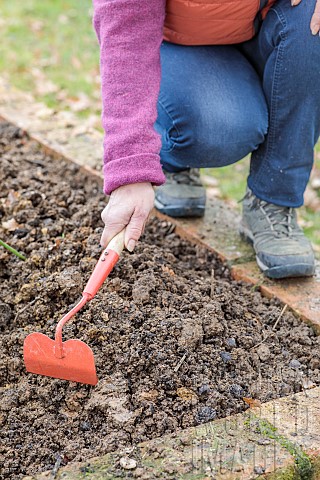 Woman_shaping_a_mound_in_a_small_vegetable_garden_in_clay_soil_before_sowing