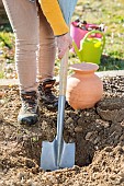 Planting a citrus tree using an irrigation jar (oya) buried at the base.