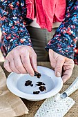 Woman soaking dehydrated flowering anemone tubers.