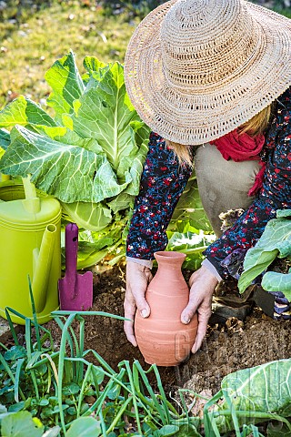 Setting_up_an_oyas_or_buried_growing_jar_in_the_vegetable_garden