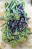 Harvest cabbage flower spikes, edible as asparagus.