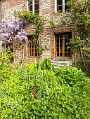 Chinese Wisteria (Wisteria sinensis) on the canopy, Myosotis alpestris Grand Bleu Indigo in the bed, Jardin de Me. Sylvie T, Luneray, Seine Martime, France