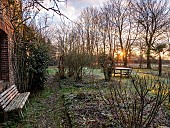Winter garden of Me. Sylvie T. at sunrise, Luneray, Seine Martime, France