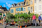 Fête des jardins et des cours dans la cité Plantagenet or Le vieux Mans, Sarthe, France