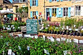 Fête des jardins et des cours dans la cité Plantagenet or Le vieux Mans, Sarthe, France