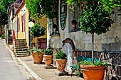 Village of La Perrière, the Pearl of the Perche, Orne, Normandy, France. Situated in the heart of the Perche region, a small village of character, one of the most beautiful villages in France, built on a spur, an embroidery town with a rich heritage close to the Bellème forest.