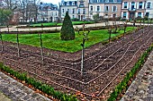 Drip pipes for irrigation of the Jardin des Plantes, Le Mans, Sarthe, France