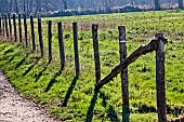 Hiking trail signs on a meadow fence with wooden stakes, Sarthe, France