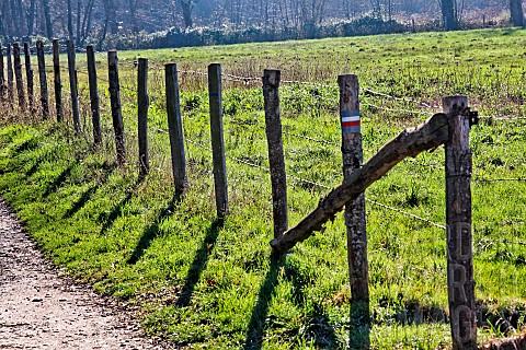 Hiking_trail_signs_on_a_meadow_fence_with_wooden_stakes_Sarthe_France