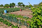 Entrance to a family garden and rainwater harvesting containers for watering vegetables, Sarthe, France