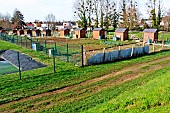Allotment garden shelters with rainwater recovery for watering vegetables, Change, Sarthe, Pays de la Loire, France