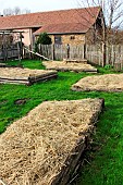 Mulching a vegetable garden in winter, Arche de la nature, Jardin pédagogique, Le Mans Métropole, Sarthe, France