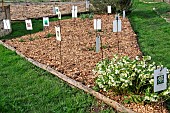 Winter vegetable garden, Arche de la nature, Le Mans Métropole, Sarthe, France