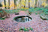 The Fontaine de Viljot in the heart of the Tronçais forest reveals one of its legends - Allier. Clear and abundant, it is by far the most beautiful fountain in the forest. Its very accessible, and very well laid out by the Eaux et Forêts, who, in 1900, inscribed the cement coping with an inscription dedicating the fountain to Velleda. One legend has it that the fountain springs from the site of a sunken city. On Christmas Eve, during midnight mass, when you lean over the water, you can hear the distant echo of the bells of the buried church. Young girls hoping to marry are invited to throw a pin into the fountain. If the pin lands on its tip in the bottom of the fountain, then the heart of the man they love is pricked, and theyll be married within the year. Nowadays, instead of a pin, they often toss a coin. The Tronçais forest is considered one of the most beautiful oak forests in Europe. It was awarded the Forêt dException label in 2018. This label is a guarantee of excellence.