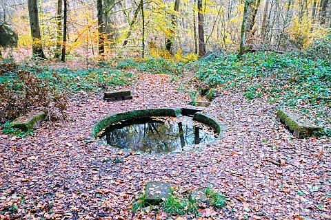 The_Fontaine_de_Viljot_in_the_heart_of_the_Tronais_forest_reveals_one_of_its_legends__Allier_Clear_a