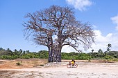 A cyclist carrying a water can passes a baobab tree on the southern tip of Zanzibar Island, Tanzania,