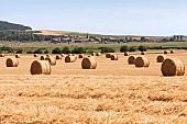 Agricultural landscape after wheat harvest with straw swath and round bales, Lorraine, France
