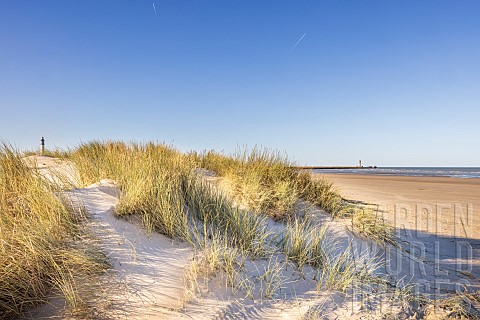 Dunkirk_dunes_in_winter_Nord_France