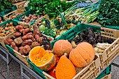 Selling vegetables at the Jacobins market, Le Mans, Sarthe, France.