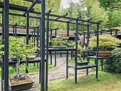 Pavillon aux Bonsaïs, Parc Floral Vincennes, Paris, Ile de France, France