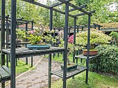Pavillon aux Bonsaïs, Parc Floral Vincennes, Paris, Ile de France, France