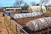 Plastic tunnels to shelter vegetables, Allotment Garden, Allonnes, Sarthe, Pays de la Loire, France