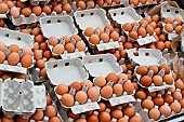Retail sale of chicken eggs at a market, Le Mans, Sarthe, France