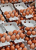 Retail sale of chicken eggs at a market, Le Mans, Sarthe, France