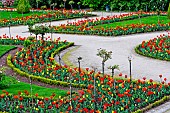 Tulips in the Jardin des Plantes in springtime, Le Mans, Sarthe, France