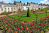 Tulips in the Jardin des Plantes in springtime, Le Mans, Sarthe, France