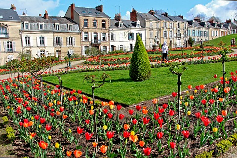 Tulips_in_the_Jardin_des_Plantes_in_springtime_Le_Mans_Sarthe_France