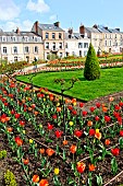 Tulips in the Jardin des Plantes in springtime, Le Mans, Sarthe, France