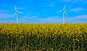 Wind turbines in a field of flowering rapeseed, Sarthe, Pays de la Loire, France