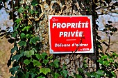 Sign on a tree trunk informing: private property, no trespassing, in a forest, Sarthe, France