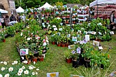 Plant festival in the grounds of Château de Courtanvaux, Besse sur Braye, Sarthe, Pays de la Loire, France