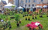 Fête des plantes et des plants légumes fruits vignes tisanes bio dans le parc du château de Courtanvaux, Besse sur Braye, Sarthe, Pays de la Loire, France